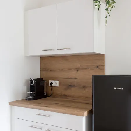 Bright Apartment Graz